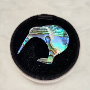 Australian Qiwi shell brooch